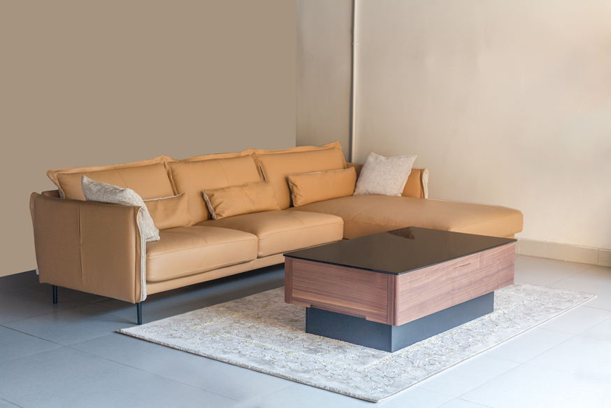 Sofa cao cấp tại Bạc Liêu